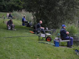 Competities HSV Alfheim